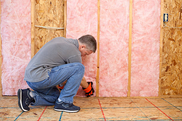 Best Insulation Contractors for Homes  in Hazel Dell, WA